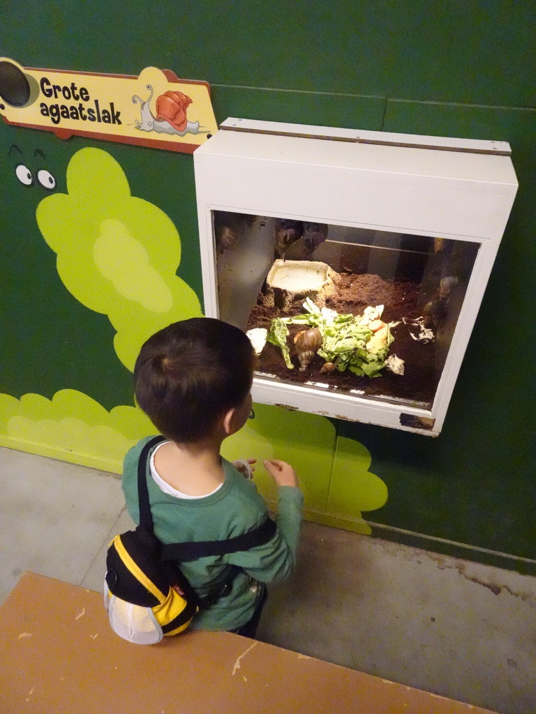 Max with an African Giant Snail at the Indoor Apenkooien hall at the Dierenrijk zoo