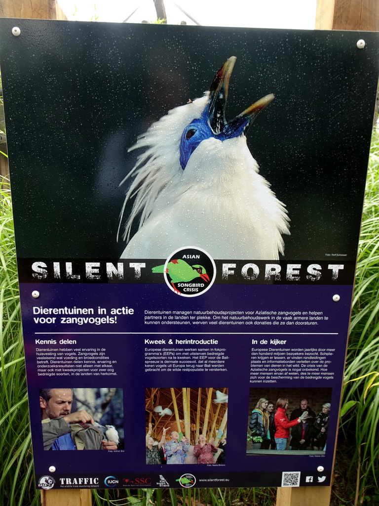 Information on the Silent Forest campaign at the Dierenrijk zoo