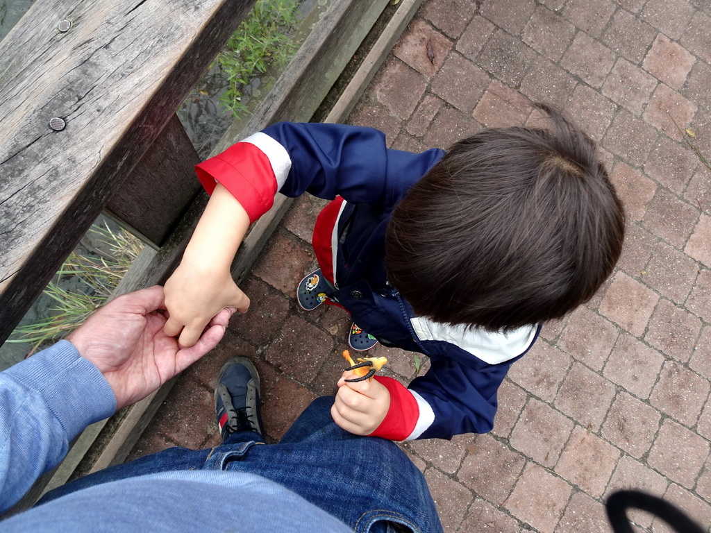 Max feeding Common Carps at the Dierenrijk zoo