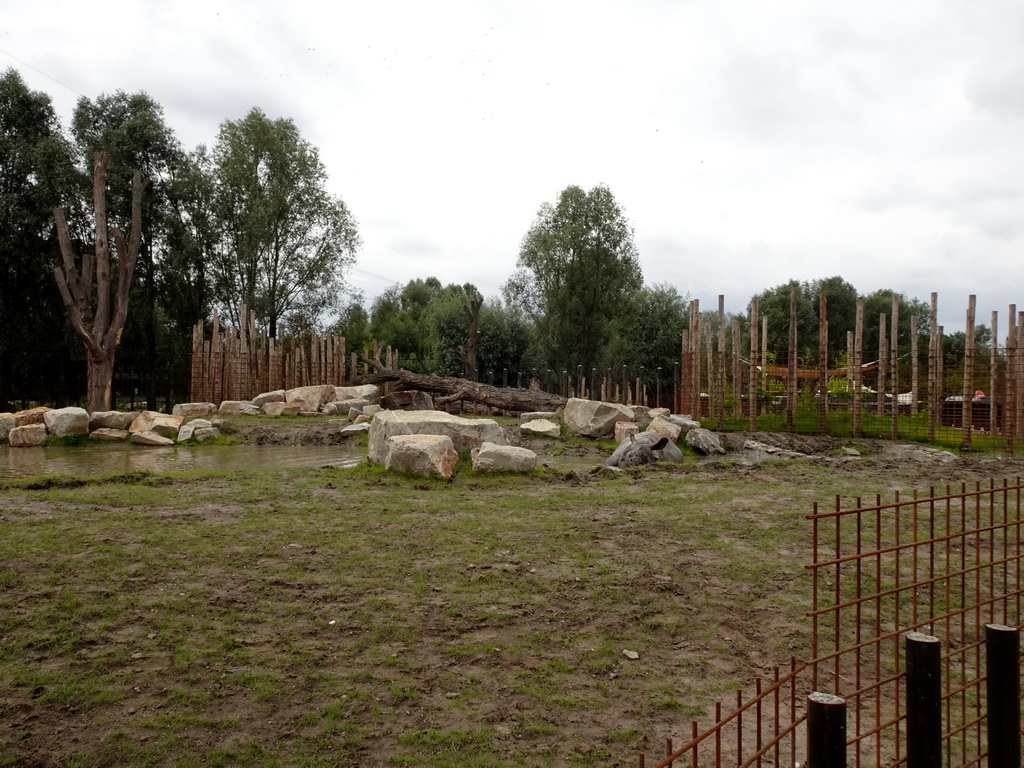 Indian Rhinoceros at the Dierenrijk zoo