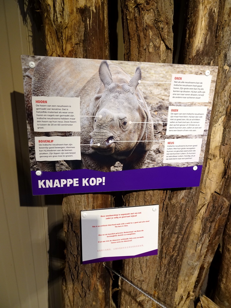 Information on the fake Indian Rhinoceros head at the Dierenrijk zoo