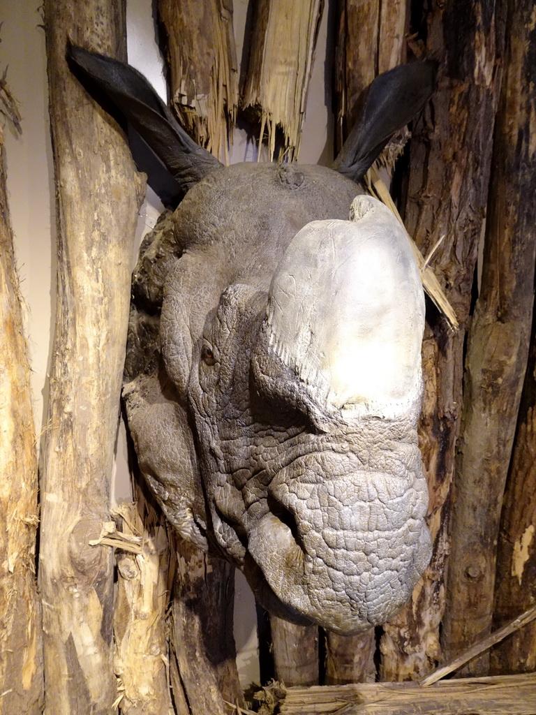 Fake Indian Rhinoceros head at the Dierenrijk zoo