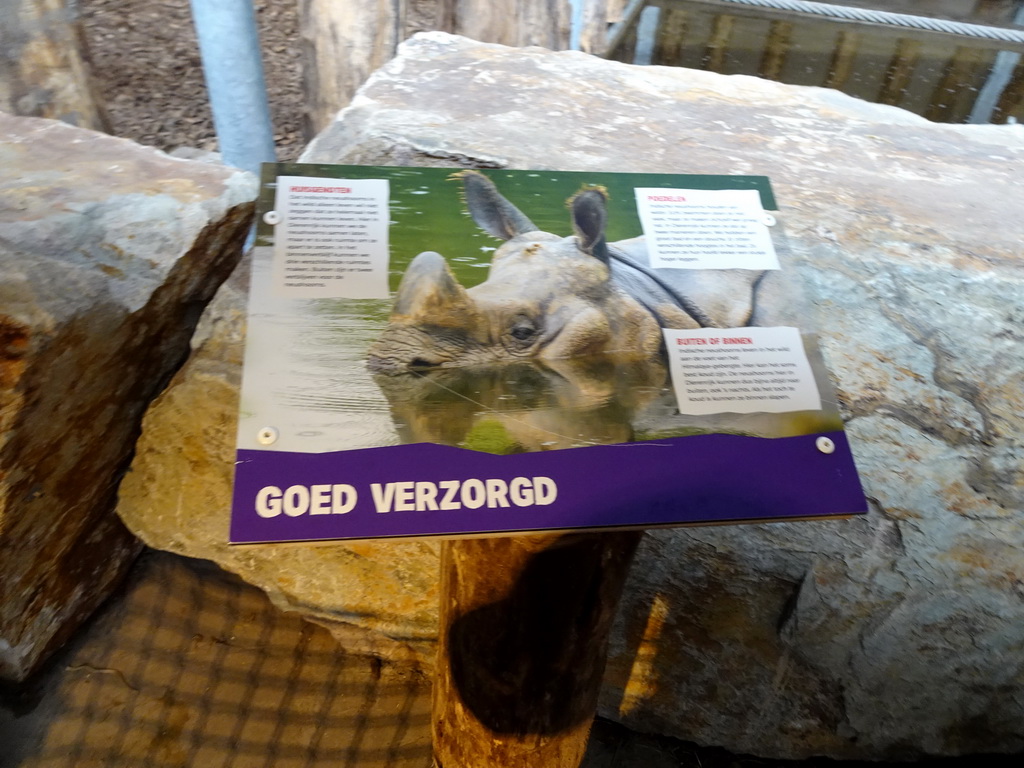 Information on the care for the Indian Rhinoceroses at the Dierenrijk zoo