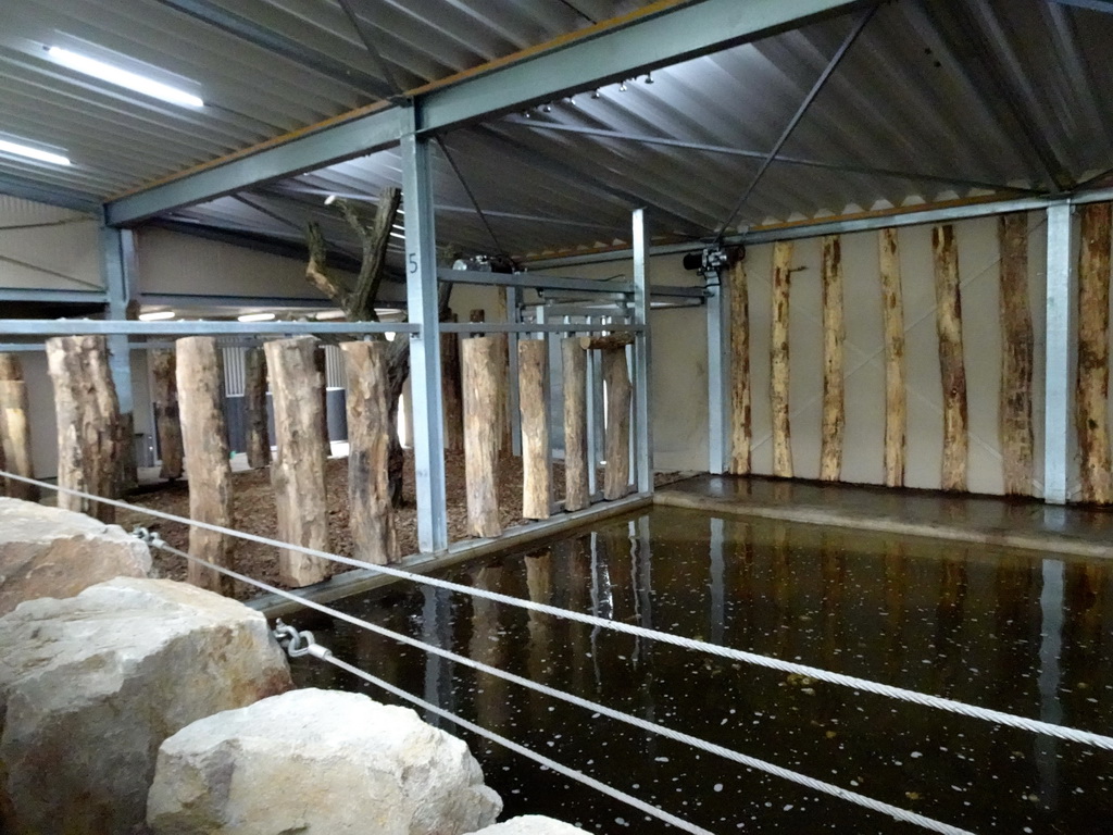 Interior of the Indian Rhinoceros enclosure at the Dierenrijk zoo