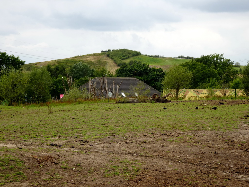 The Dak van Brabant hill, viewed from the Dierenrijk zoo