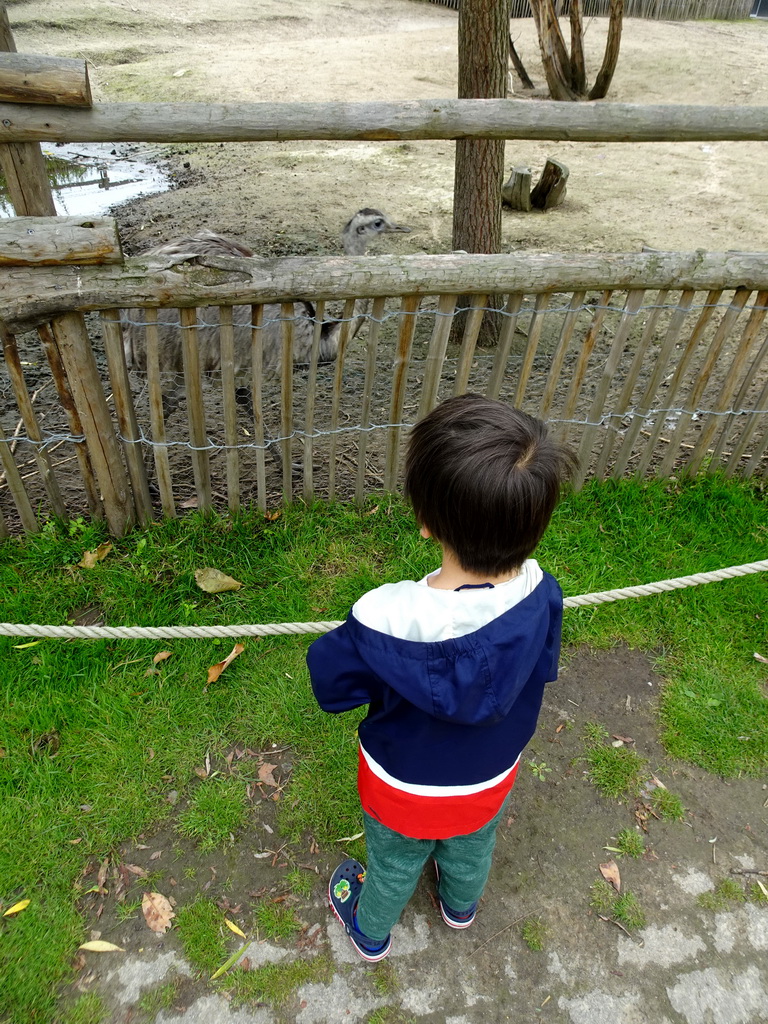 Max with a Nandu at the Dierenrijk zoo