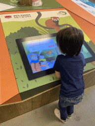 Max doing a quiz at the Indoor Apenkooien hall at the Dierenrijk zoo