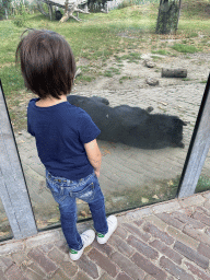 Max with an Asian Black Bear at the Dierenrijk zoo