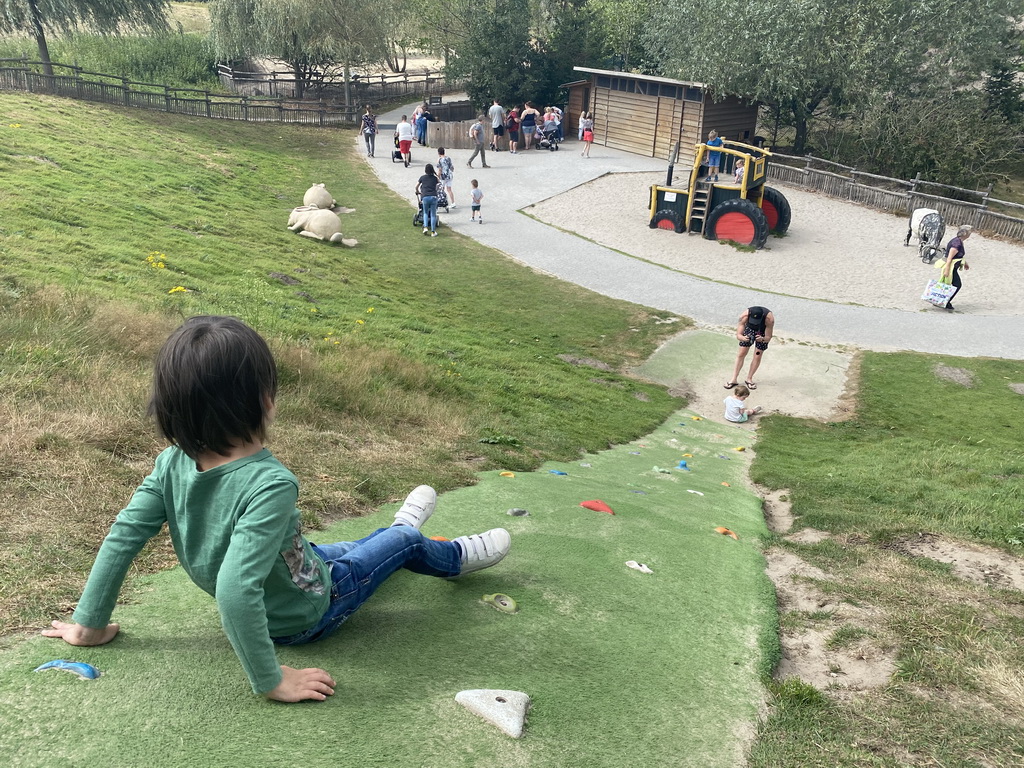 Max climbing a hill at the Dierenrijk zoo