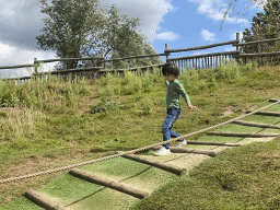 Max walking down a hill at the Dierenrijk zoo