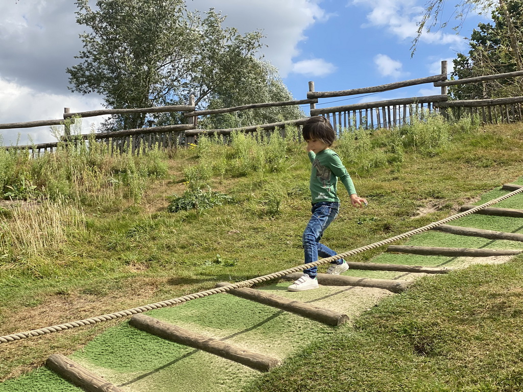 Max walking down a hill at the Dierenrijk zoo