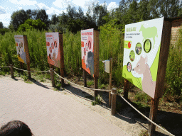 Explanation on the Indian Rhinoceros, Indian Hog Deer, Visayan Warty Pig and Nilgai at the Dierenrijk zoo