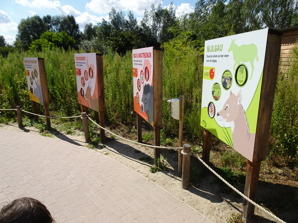 Explanation on the Indian Rhinoceros, Indian Hog Deer, Visayan Warty Pig and Nilgai at the Dierenrijk zoo