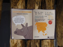 Explanation on the Indian Rhinoceros at the Dierenrijk zoo