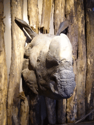 Fake Indian Rhinoceros head at the Dierenrijk zoo