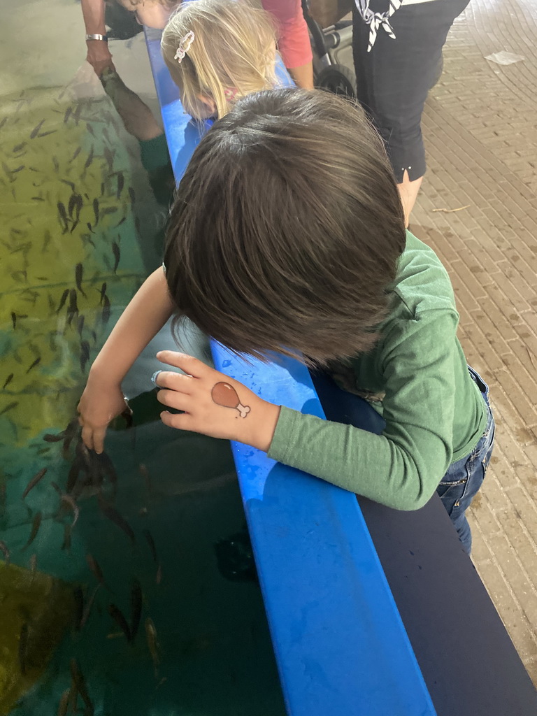 Max with Doctor Fish at the Dierenrijk zoo