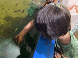 Max with Doctor Fish at the Dierenrijk zoo