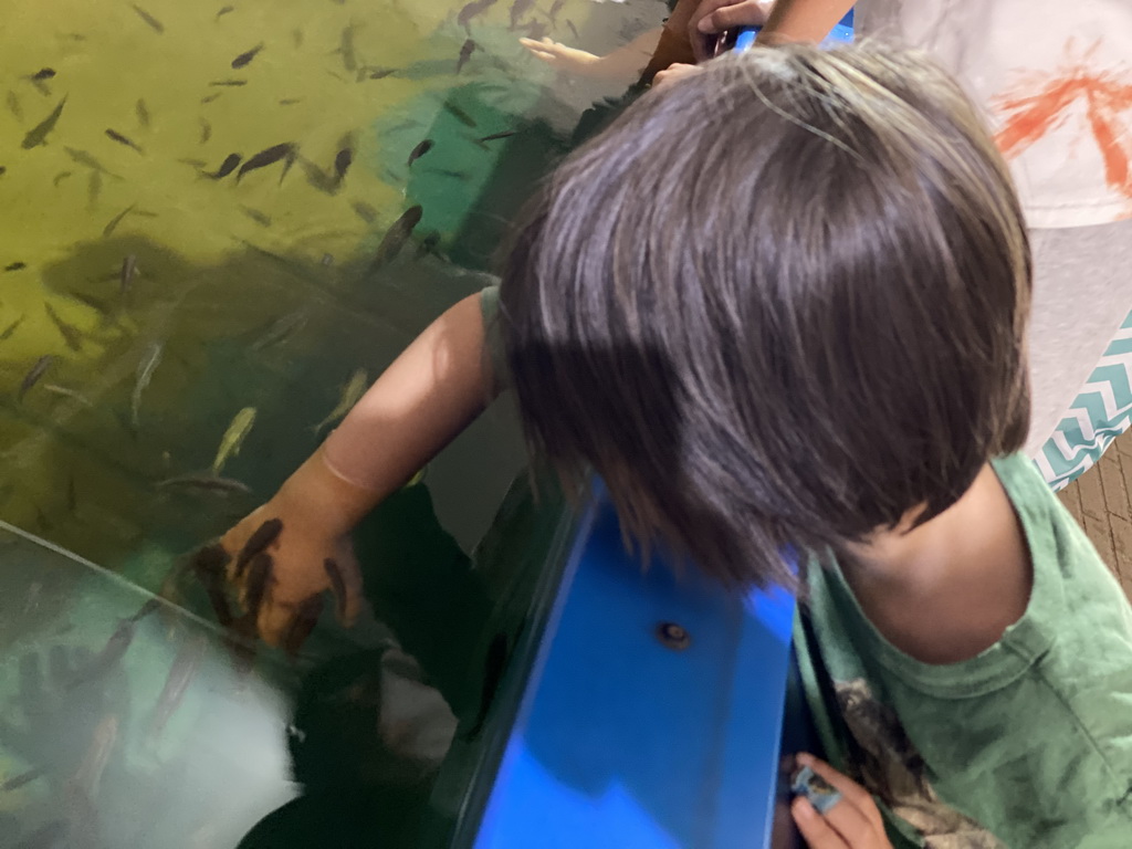 Max with Doctor Fish at the Dierenrijk zoo