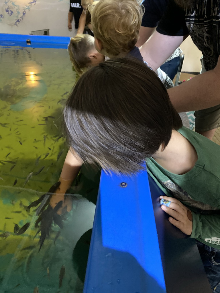 Max with Doctor Fish at the Dierenrijk zoo