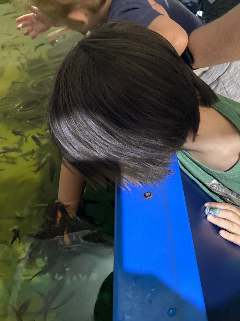 Max with Doctor Fish at the Dierenrijk zoo