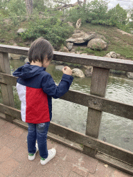 Max feeding the Common Carps at the Dierenrijk zoo