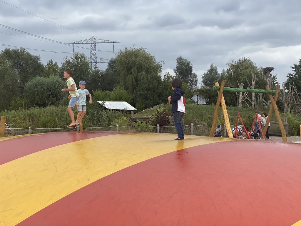 Max on the trampoline at the playground near Restaurant Smulrijk at the Dierenrijk zoo