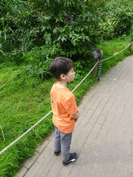 Max with a Ring-tailed Lemur at the Dierenrijk zoo