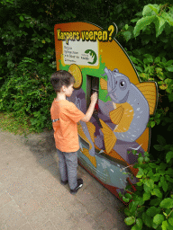 Max getting food for the Common Carps at the Dierenrijk zoo