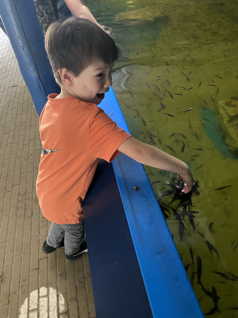 Max with Doctor Fish at the Dierenrijk zoo