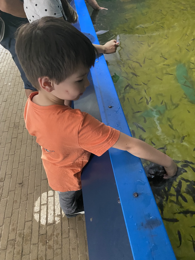 Max with Doctor Fish at the Dierenrijk zoo