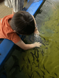 Max with Doctor Fish at the Dierenrijk zoo