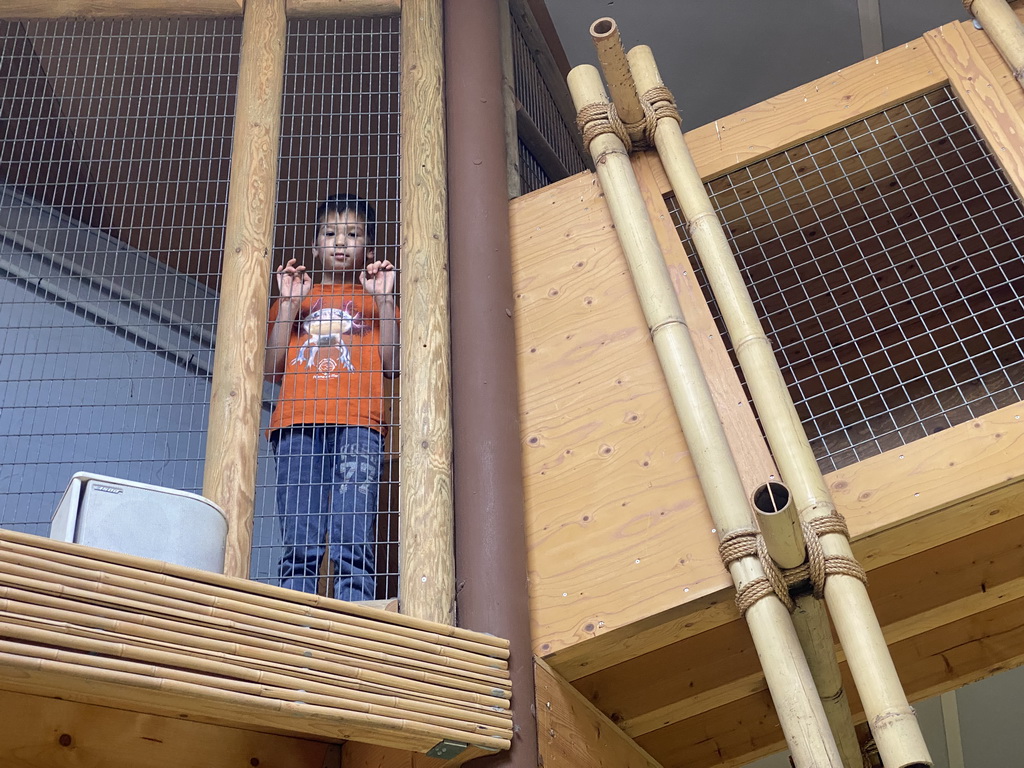 Max at the Indoor Apenkooien hall at the Dierenrijk zoo