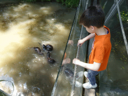 Max with Oriental Small-Clawed Otters at the Dierenrijk zoo