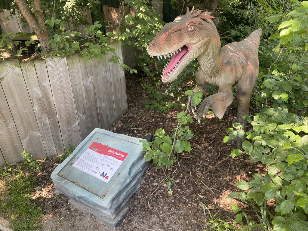 Velociraptor statue at the Dierenrijk zoo, with explanation