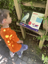 Max with the explanation on the Snowy Owl at the Dierenrijk zoo