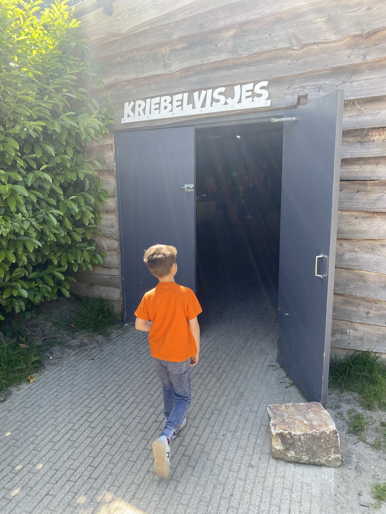 Max in front of the Doctor Fish building at the Dierenrijk zoo