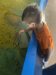 Max with Doctor Fish at the Dierenrijk zoo