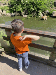 Max feeding the Common Carps and a Barbary Macaque at the Dierenrijk zoo