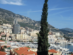 Tree, the skyline of Monte Carlo and the Port Hercule harbour, viewed from the Rampe Major ramp