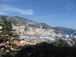 Skyline of Monte Carlo and the Port Hercule harbour, viewed from the Rampe Major ramp