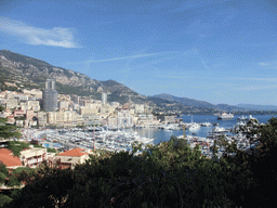 Skyline of Monte Carlo and the Port Hercule harbour, viewed from the Rampe Major ramp