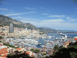 Skyline of Monte Carlo and the Port Hercule harbour, viewed from the Place du Palais square