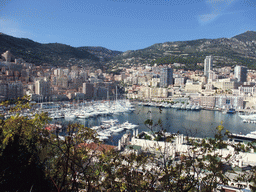 Skyline of Monte Carlo and the Port Hercule harbour, viewed from the Avenue de la Porte Neuve