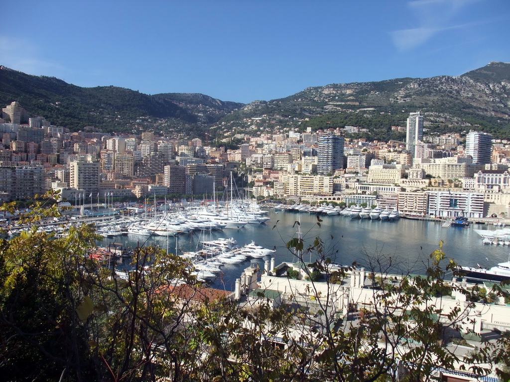 Skyline of Monte Carlo and the Port Hercule harbour, viewed from the Avenue de la Porte Neuve