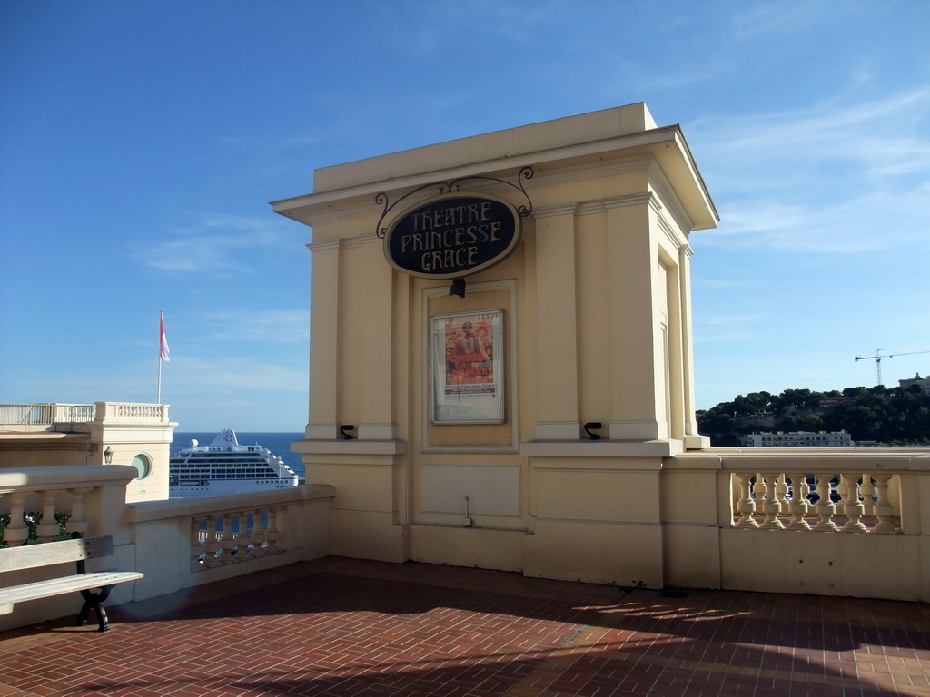 Roof of the Theatre Princesse Grace