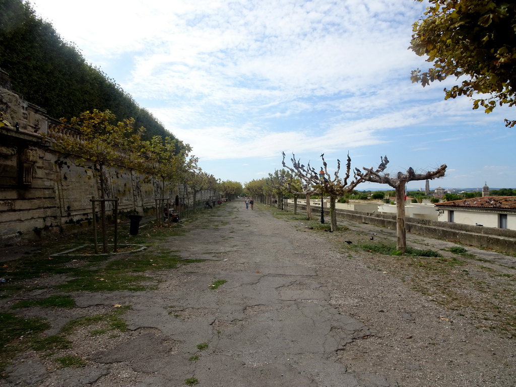 North path at the Promenade du Peyrou