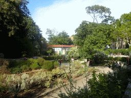 The English Garden at the Jardin des Plantes gardens