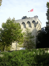 The Tour des Pins tower, viewed from the Jardin des Plantes gardens