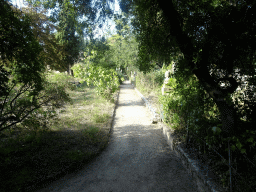 Path at the south side of the Jardin des Plantes gardens