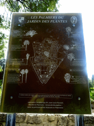 Map of the palm trees at the Jardin des Plantes gardens